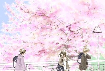 每日大赛免费观看在线